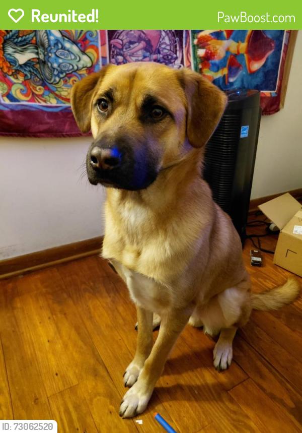 Reunited Male Dog last seen Soper ave, Rockford, IL 61101