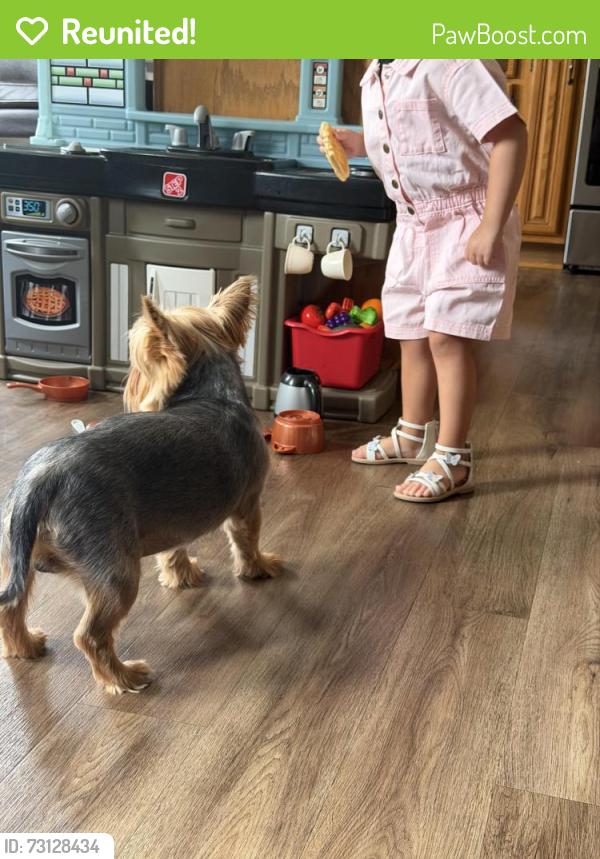 Reunited Male Dog last seen Timber ridge middle school, Plainfield, IL 60544