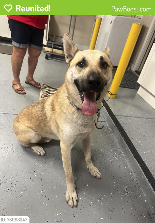 Reunited Unknown Dog last seen Brengle Terrac, Vista, CA 92084
