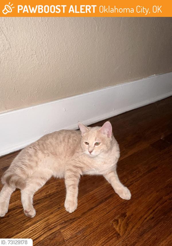 Found/Stray Male Cat last seen NW 16th St & Villa Ave, Oklahoma City, OK 73107