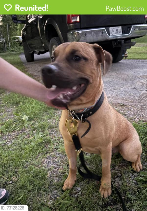 Reunited Male Dog last seen Mountsberg Conservation Area, Hamilton, ON L8B 0Z1