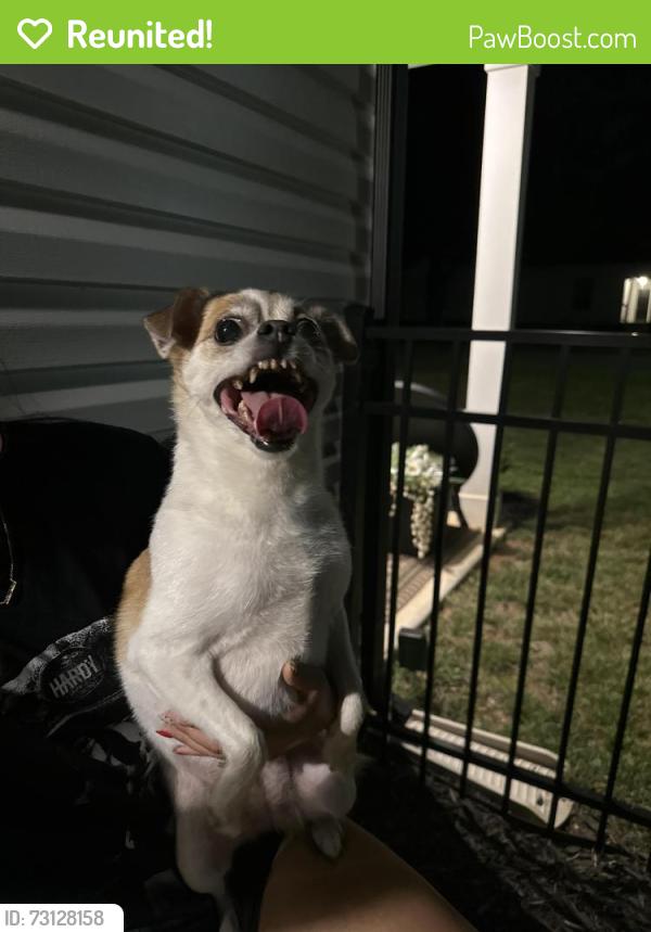Reunited Female Dog last seen Fred Wilson Elementary, Kannapolis, NC 28081