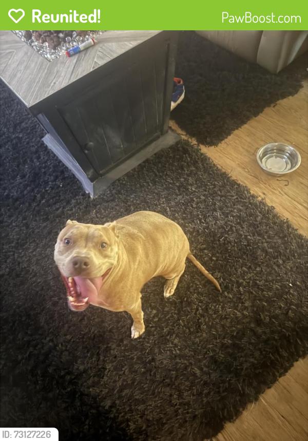 Reunited Female Dog last seen Near Hillers Rd, Oklahoma City, OK 73132, USA, Oklahoma City, OK 73132