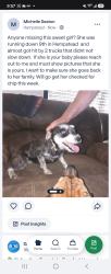 Found/Stray Female Dog last seen 9th and pebbles in Hempstead, Hempstead, TX 77445