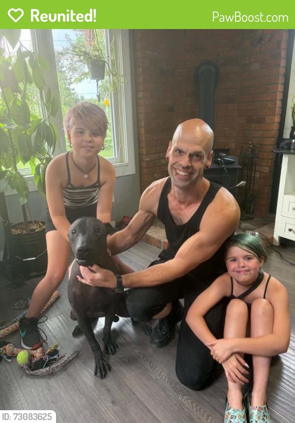 Reunited Male Dog last seen Reece/Mellard ave, Chilliwack, BC V2P 2Y9