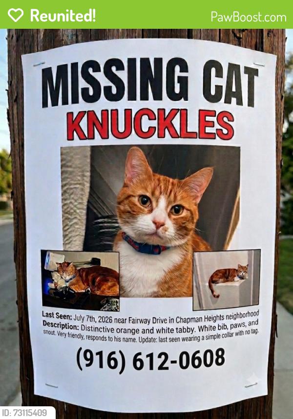Reunited Male Cat last seen Fairway Drive and 10th Street, Yucaipa, CA 92399