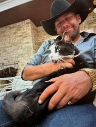 Found/Stray Unknown Cat last seen Upper Bay Road at Nasa Road 1, Houston, TX 77058