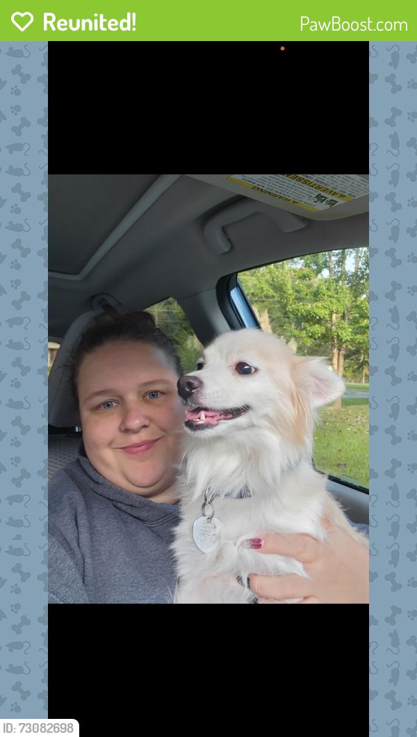 Reunited Female Dog last seen Alabama hwy near Coosa, Rome, GA 30165