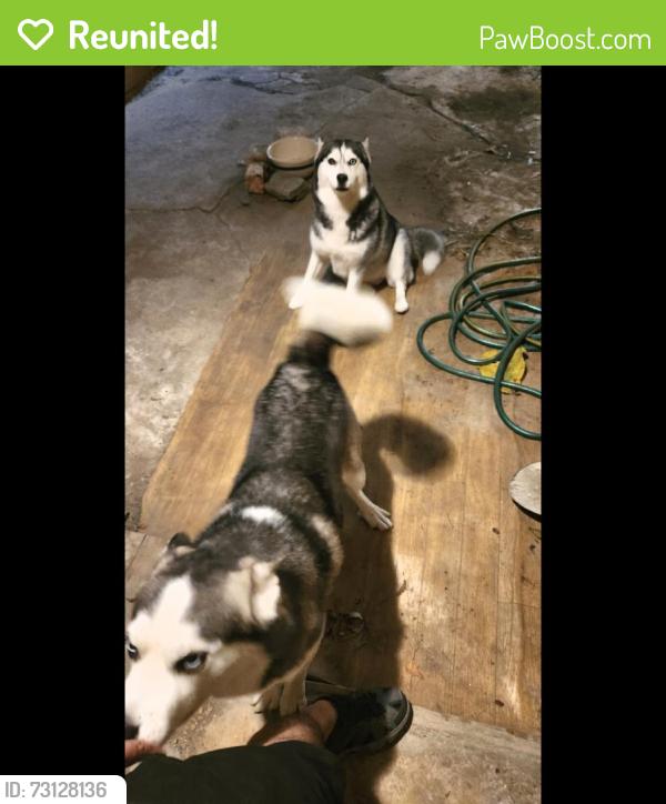 Reunited Male Dog last seen Houston, TX 77026, USA, Houston, TX 77026