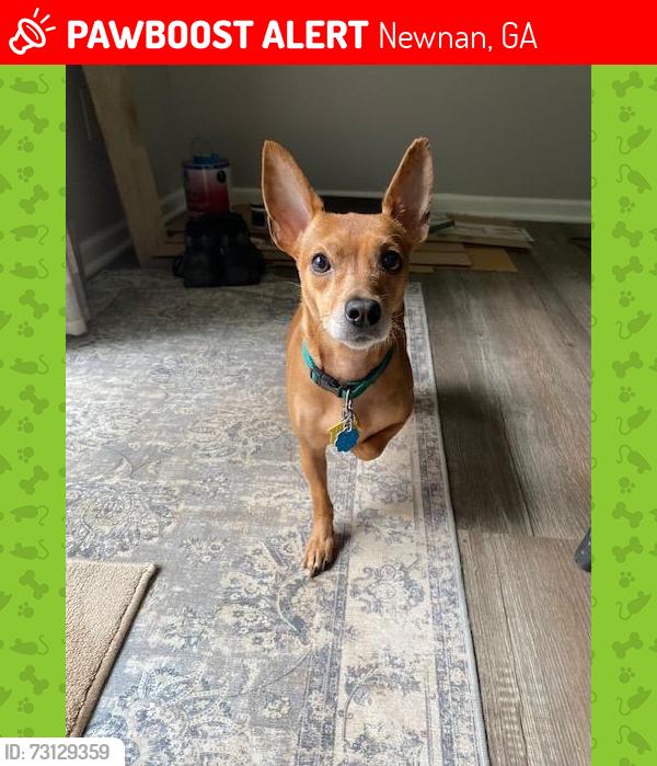Lost Female Dog last seen Roscoe Rd and Country Club Rd, Newnan, GA 30263