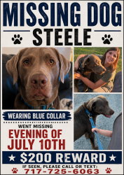 Lost Male Dog last seen Near Pleasant valley road, Ephrata, PA 17522