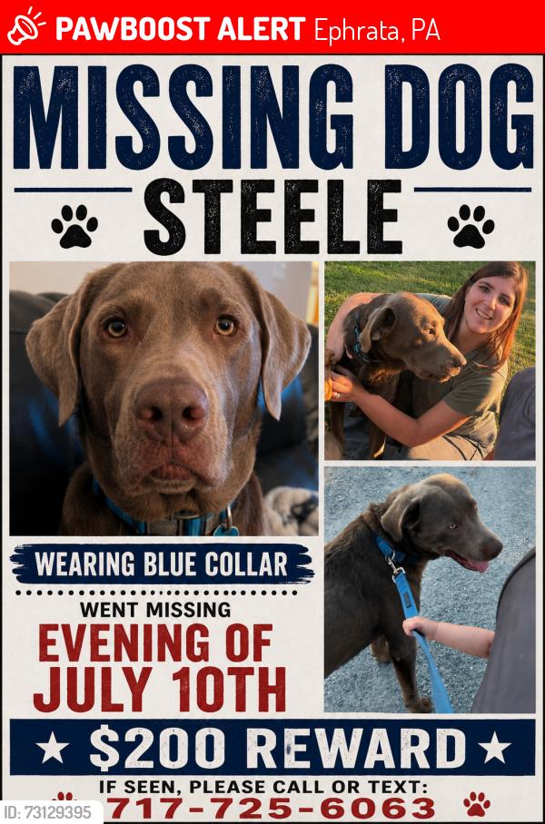 Lost Male Dog last seen Near Pleasant valley road, Ephrata, PA 17522