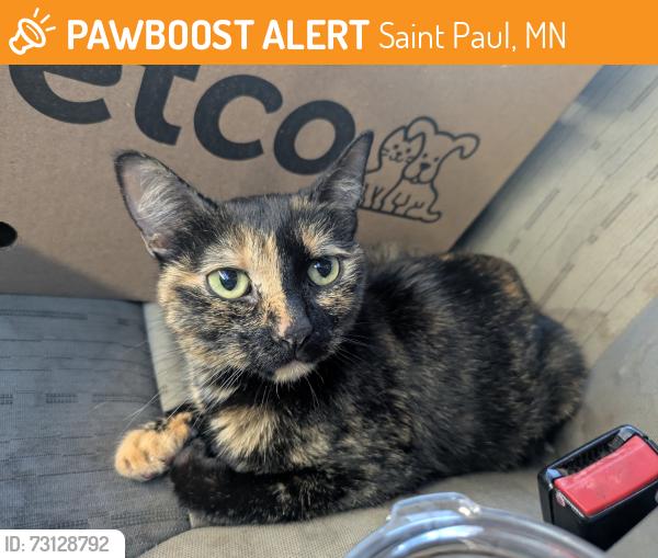 Found/Stray Female Cat last seen Suburban Ave and White Bear Ave, Saint Paul, MN 55119