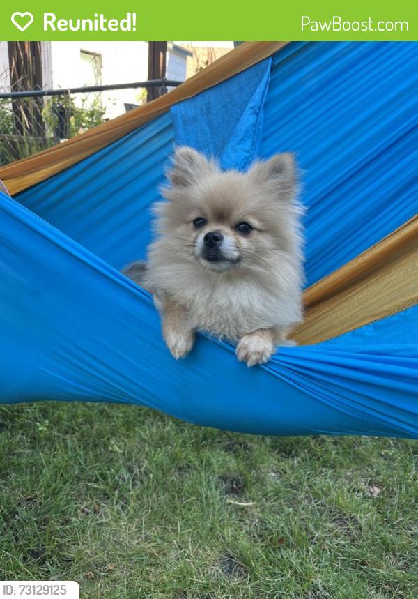 Reunited Male Dog last seen 42nd Ave N, Minneapolis, MN 55412