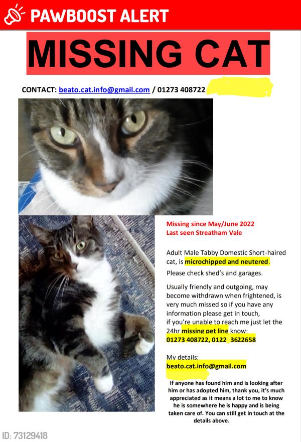 Lost Male Cat last seen Streatham Vale, Greater London, England SW16 5AP