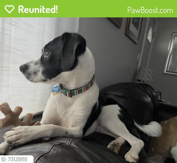 Reunited Male Dog last seen BenHill and Warwick, Harrisburg, NC 28075