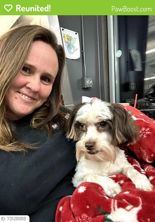 Reunited Female Dog last seen Shellmound market creative collision, Jasper, TN 37347