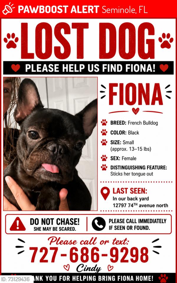 Lost Female Dog last seen Near 74TH avenue north Seminole fl 33776, Seminole, FL 33776
