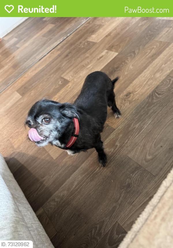 Reunited Male Dog last seen Woods Farm Road/ Piedmont Road, Chesnee, SC 29323