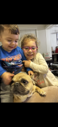 Reunited Female Dog last seen Sunland ests, Sanford, FL 32773
