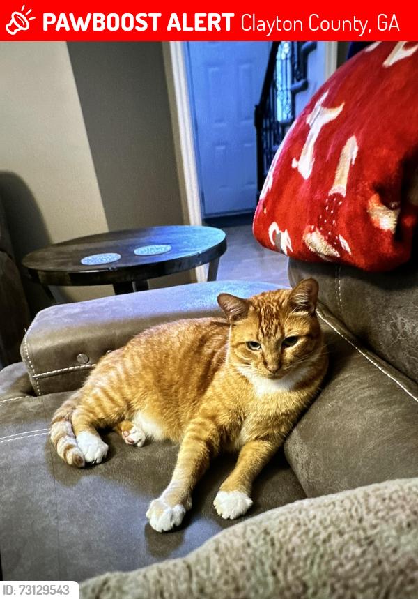 Lost Male Cat last seen Panhandle Road, Clayton County, GA 30228