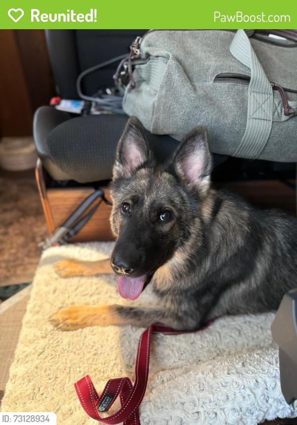 Reunited Female Dog last seen Near the Sleep Inn Ankeny, Ankeny, IA 50021