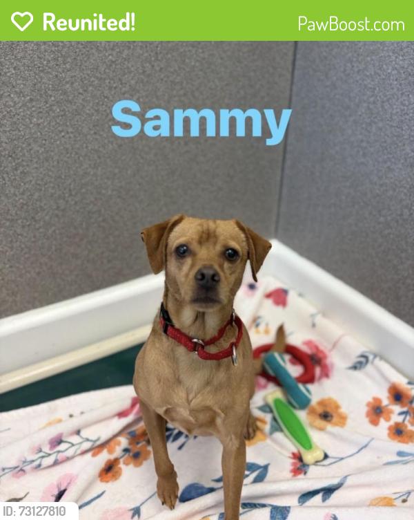 Reunited Male Dog last seen Near Indian River Rd, Virginia Beach, VA 23464, USA, Virginia Beach, VA 23464