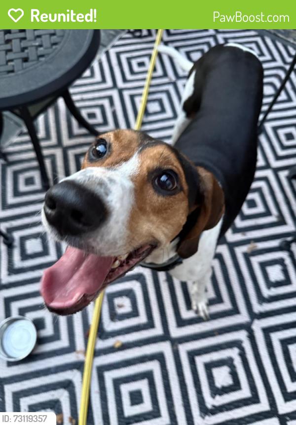 Reunited Unknown Dog last seen E Campground, Kingsport, TN 37664