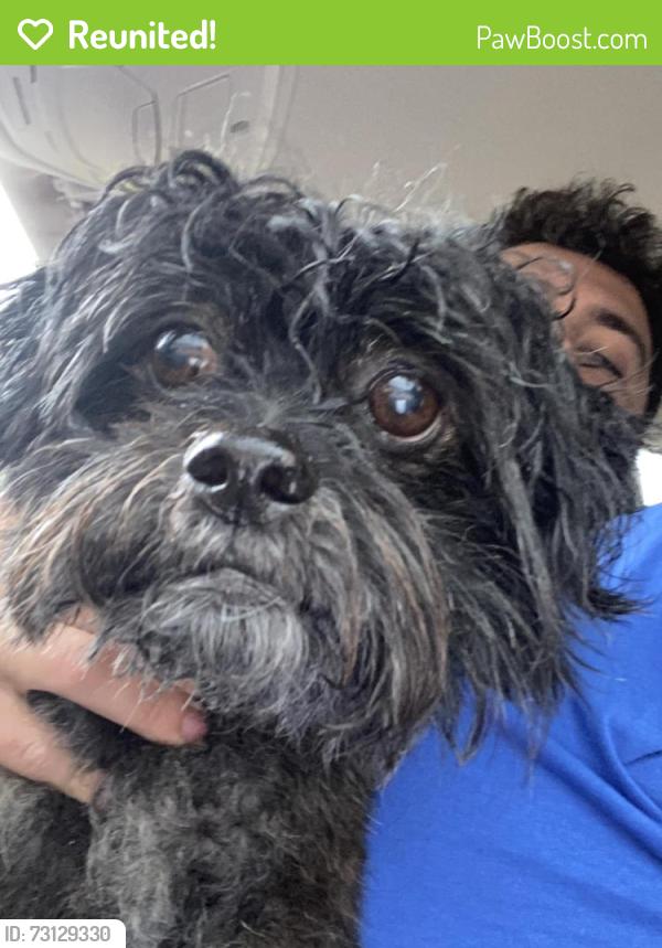 Reunited Female Dog last seen Lilian veterinary hosp, Lillian, AL 36549