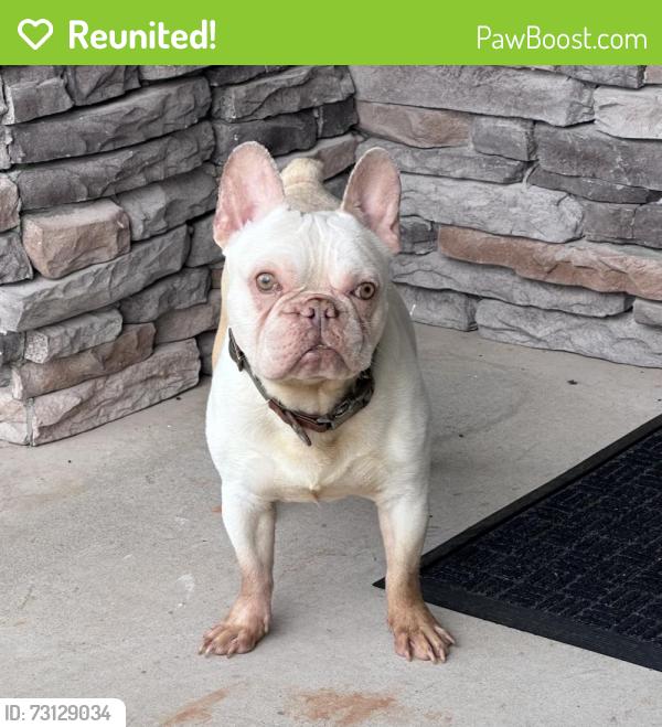 Reunited Male Dog last seen River Plantation Dr, Lula, GA 30554, USA, Lula, GA 30554