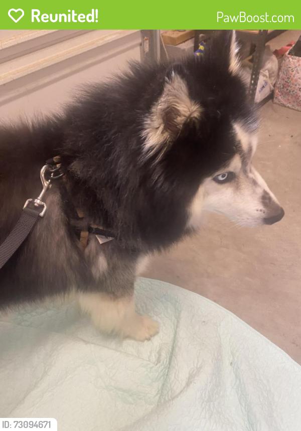 Reunited Unknown Dog last seen Airport Drive near Valero, Sandston, VA 23150
