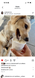 Lost Male Dog last seen garfield and beqch, Huntington Beach, CA 92646