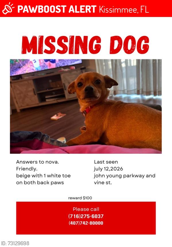 Lost Female Dog last seen john young parkway crossing the road, Kissimmee, FL 34741