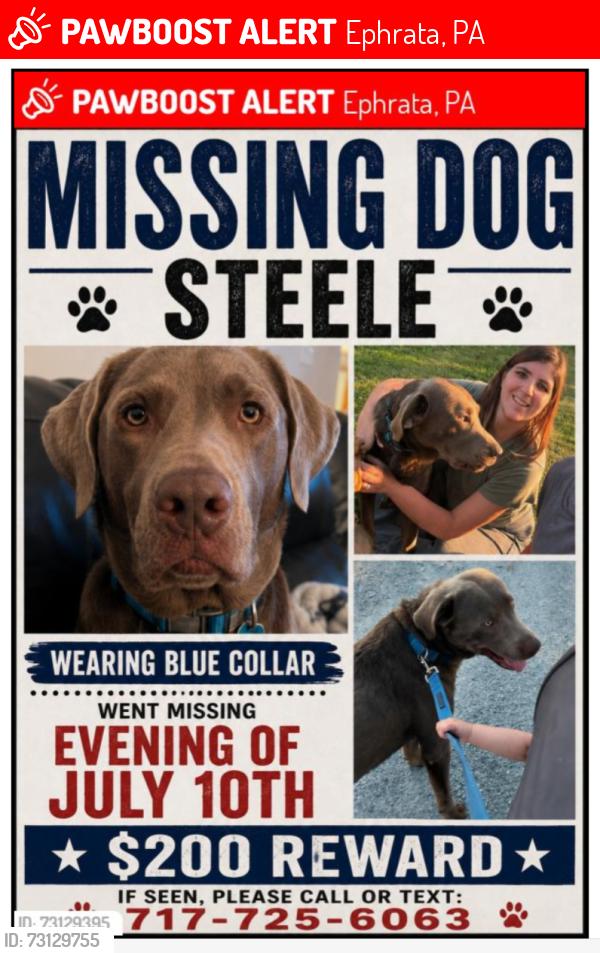 Lost Male Dog last seen Texas Roadhouse, Ephrata, PA 17522