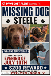 Lost Male Dog last seen Texas Roadhouse, Ephrata, PA 17522