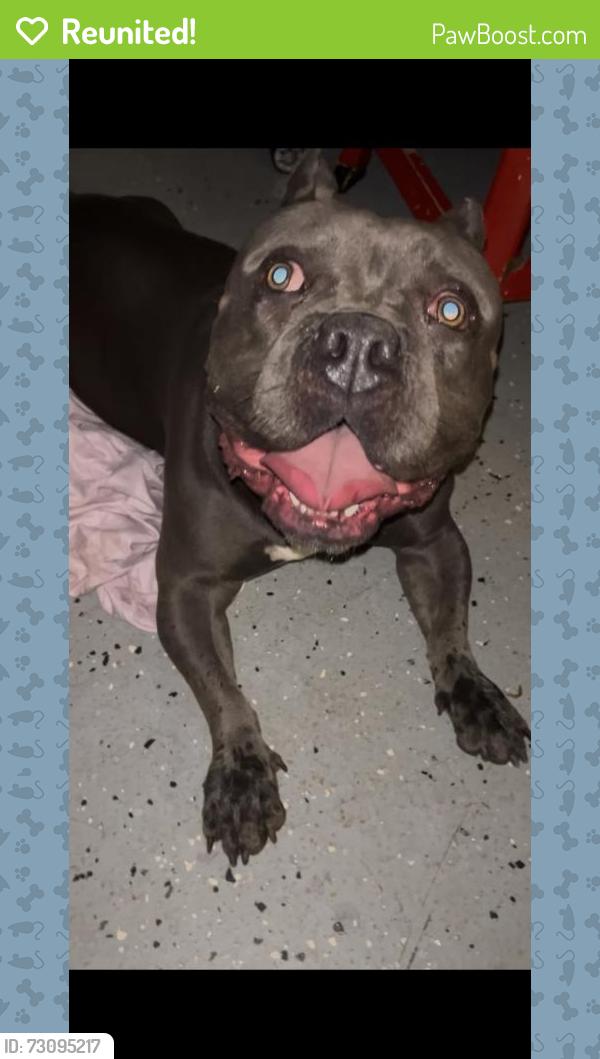 Reunited Male Dog last seen Park, San Diego, CA 92154