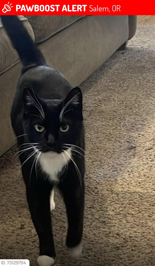 Lost Female Cat last seen Houck middle school, Salem, OR 97317