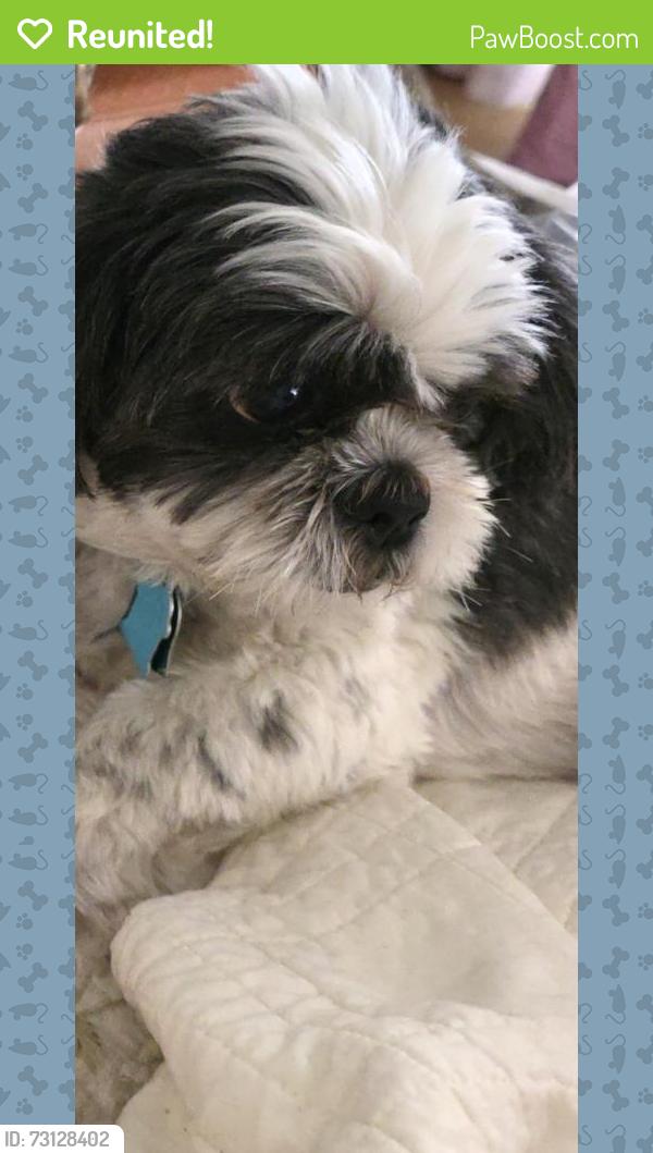 Reunited Male Dog last seen Bryne, Toledo, OH 43609