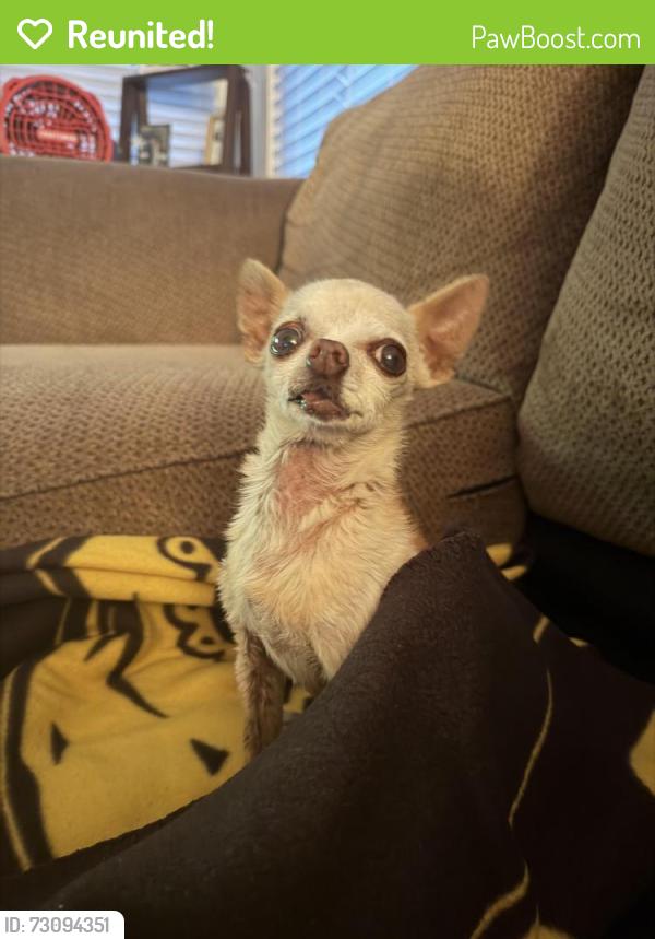 Reunited Male Dog last seen United States Postal Office, San Diego, CA 92113