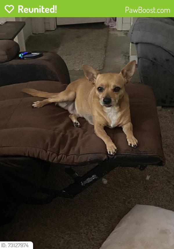 Reunited Female Dog last seen Kristina Lake camp ground, Santa Rosa County, FL 32570