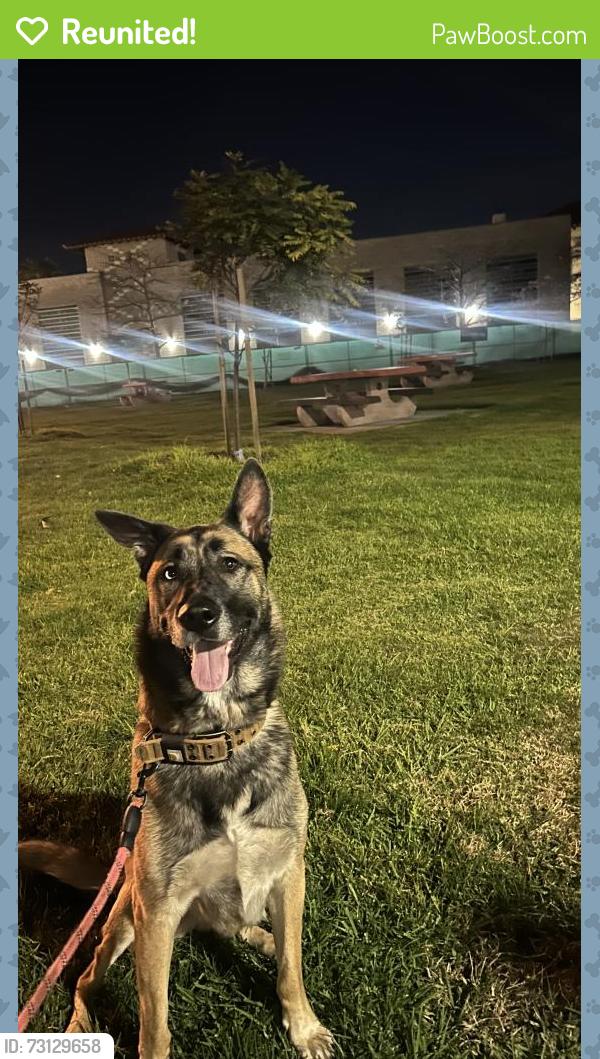 Reunited Male Dog last seen Rosaparks elementary school, San Diego, CA 92105
