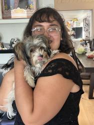 Reunited Female Dog last seen La presa, Spring Valley, CA 91977
