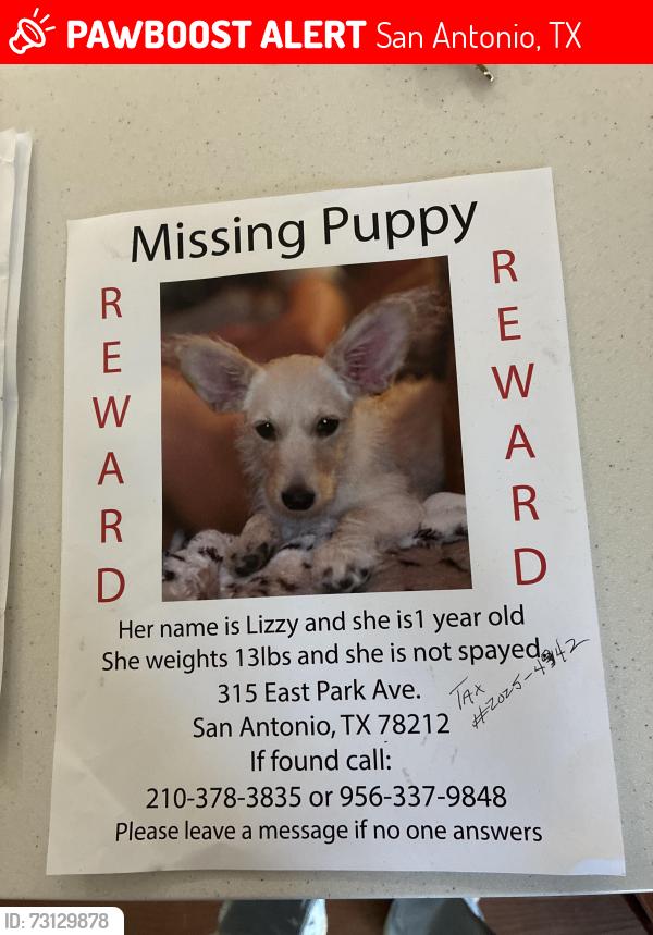 Lost Female Dog last seen Near east park avenue, San Antonio, TX 78212