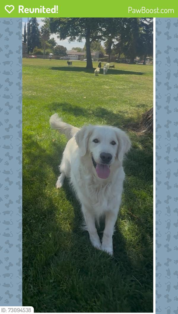 Reunited Male Dog last seen S First st and Alma, San Jose, CA 95112