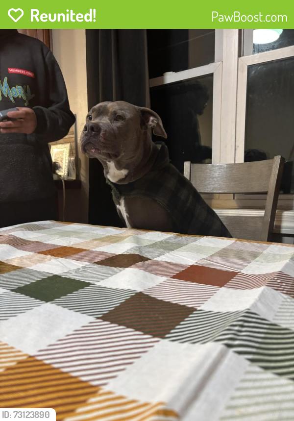 Reunited Male Dog last seen Long John silvers, Gary, IN 46408