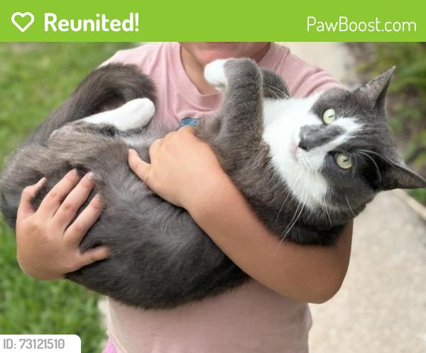 Reunited Female Cat last seen Scott mill/beauclerc, Jacksonville, FL 32257