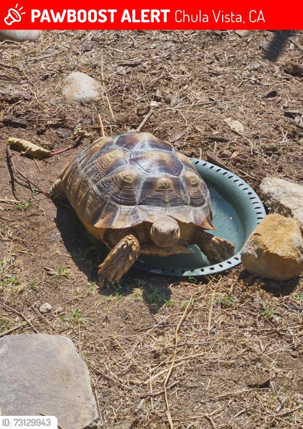 Lost Unknown Reptile last seen Naples St, Chula Vista, CA 91911