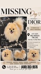 Reunited Female Dog last seen Val Vista/ Germann, Gilbert, AZ 85297