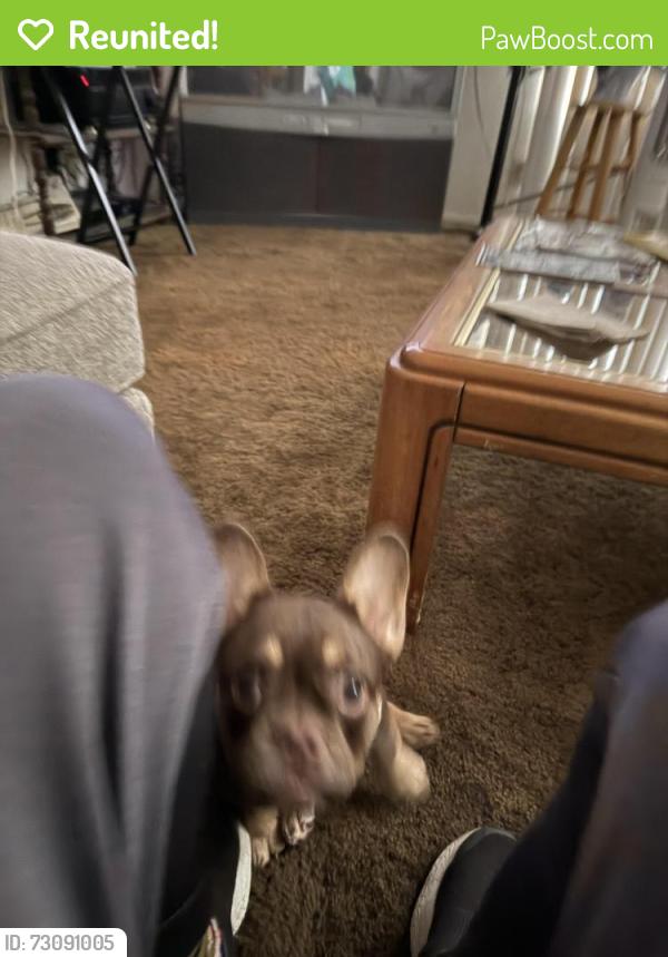 Reunited Female Dog last seen Northwood Irvine, Irvine, CA 92614