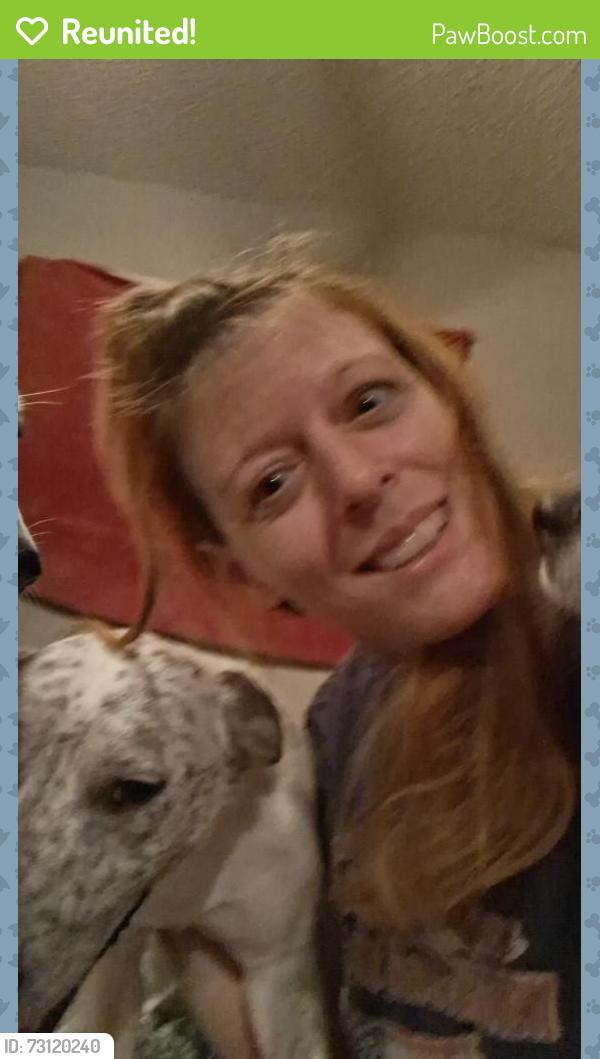 Reunited Female Dog last seen Near and block 1300 yates dr, Hurst, TX 76053